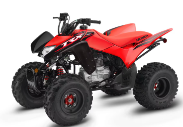 2025 Honda TRX?? 250X