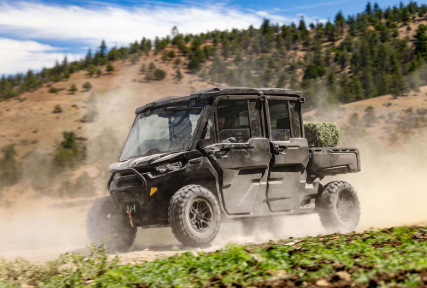 2025 Can-Am Defender DPS HD10