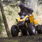 2025 Can-Am DS 250
