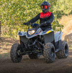 2025 Polaris Phoenix 200