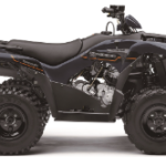 2025 Kawasaki Brute Force?? 300