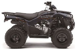 2025 Kawasaki Brute Force?? 300