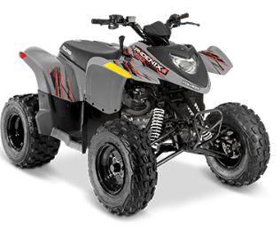 2025 Polaris Phoenix 200
