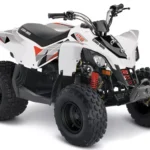 2018-can-am-ds-250-1