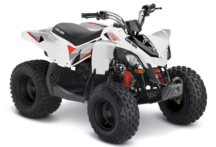 2018-can-am-ds-250-1