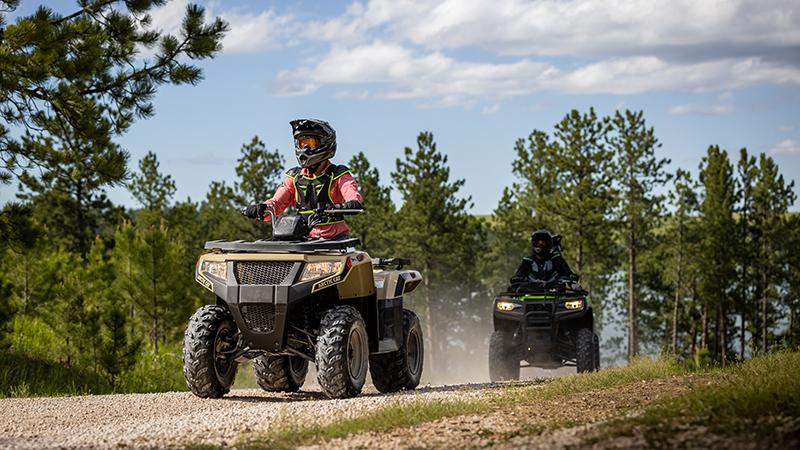 2021-arctic-cat-alterra-300-2x4-1