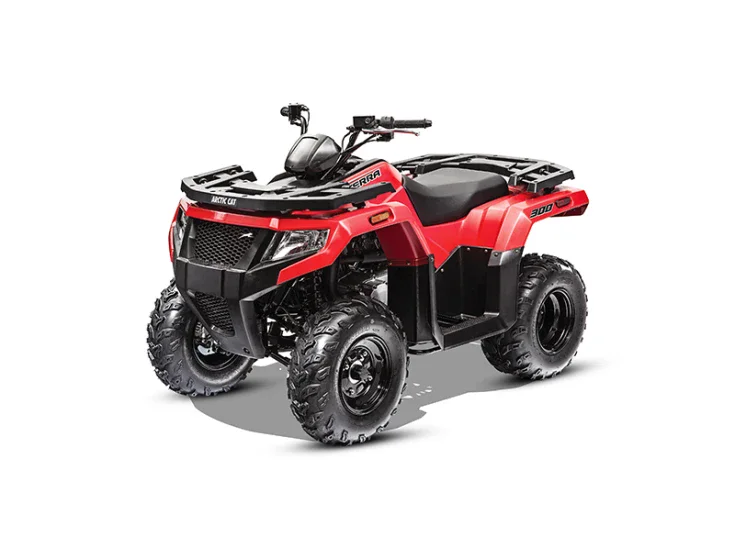 2021-arctic-cat-alterra-300-2x4-2