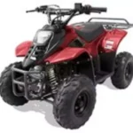 2021-bennche-hawk-110-1