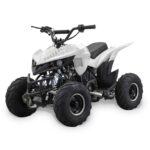 2022-bennche-hawk-110-1