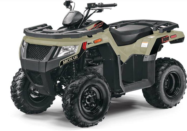 2020-arctic-cat-alterra-300-2x4-1