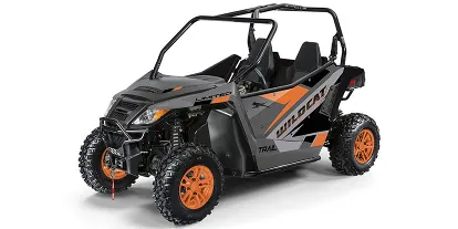 2020-arctic-cat-wildcat-trail-ltd-2
