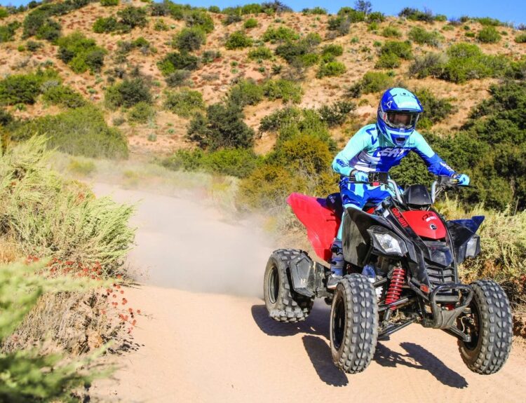2021-can-am-ds-250-1