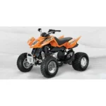 2013-arctic-cat-300-dvx-1