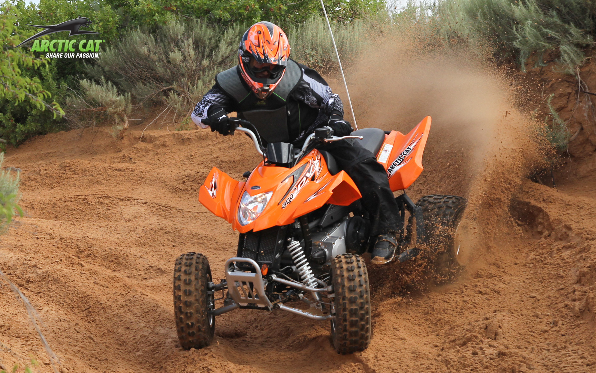 2013-arctic-cat-300-dvx-2