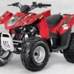 2013-arctic-cat-90-dvx-1