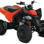 2013-can-am-ds-250-1