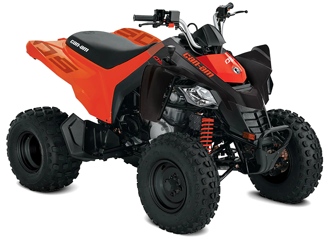2013-can-am-ds-250-1