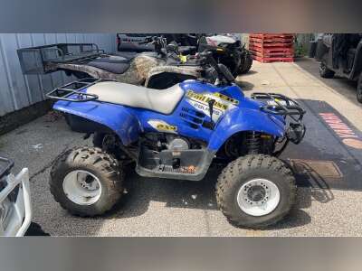 2013-polaris-trail-blazer-330-2