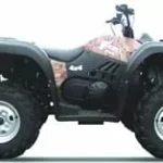 2013-qlink-rodeo-500-1