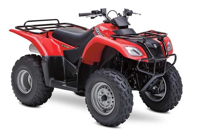 2013-suzuki-ozark-250-1