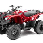 2013-yamaha-grizzly-300-automatic-1