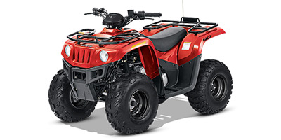 2014-arctic-cat-90-2x4-1