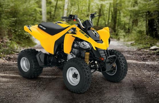 2014-can-am-ds-250-2