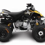 2014-can-am-ds-90-1