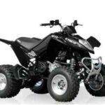 2014-kymco-mongoose-300-1