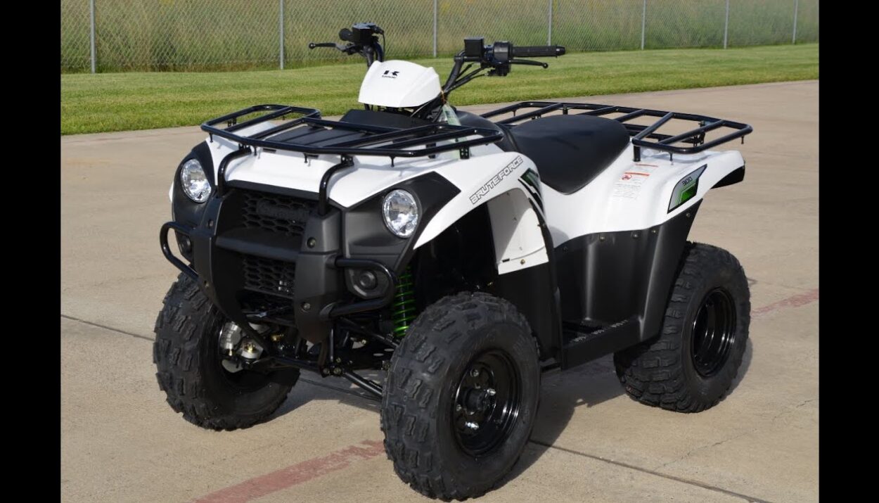 2015-kawasaki-brute-force--300-1