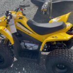 2015-kymco-mongoose-90-s-1