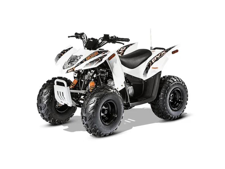 2016 Arctic Cat 90 DVX