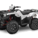 2016-honda-fourtrax-foreman--rubicon-4x4-eps-deluxe-1