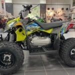 2017-hisun-axis-110-1
