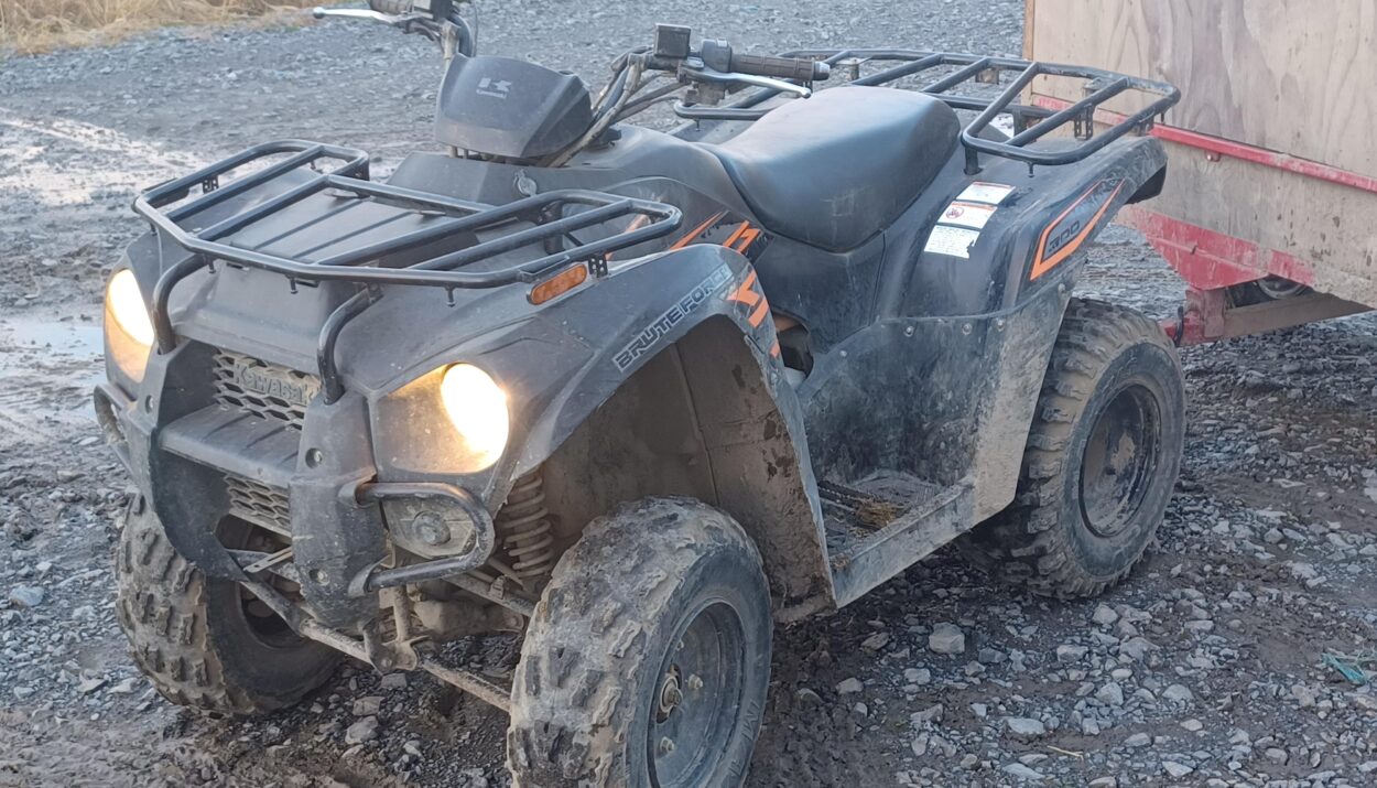 2017-kawasaki-brute-force--300-1