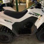 2017-kawasaki-kfx--50-1