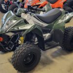 2018-kymco-mongoose-90-s-1
