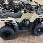 2020-arctic-cat-alterra-300-4x4-1