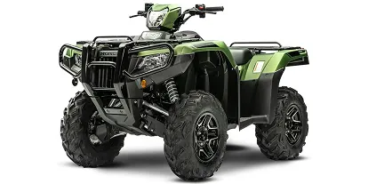 2020-honda-fourtrax-foreman-rubicon-4x4-automatic-dct-eps-deluxe-2