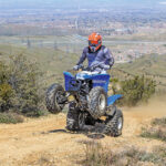 2020-honda-trx--250x-1