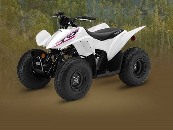 2020-honda-trx-90x-2