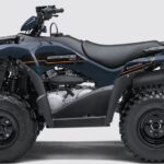 2020-kawasaki-brute-force--300-1