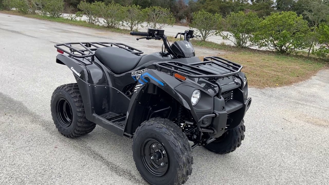 2020-kawasaki-brute-force-300-2