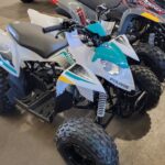 2020-polaris-outlaw--110-efi-1