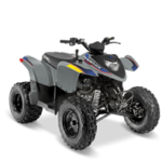 2020-polaris-phoenix--200-1