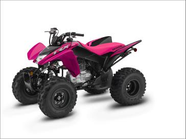 2021-honda-trx-250x-2