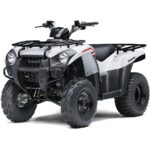 2021-kawasaki-brute-force--300-1