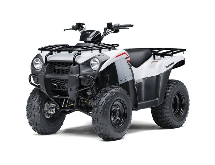 2021-kawasaki-brute-force--300-1