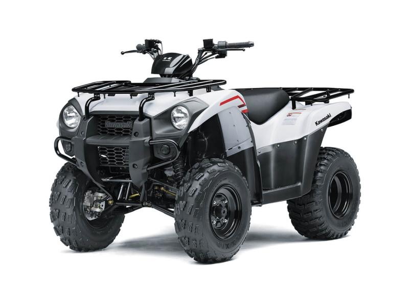 2021-kawasaki-brute-force-300-2.jpg