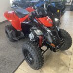 2022-can-am-ds-250-1